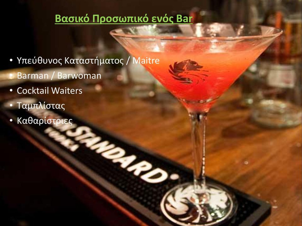 Maitre Barman / Barwoman