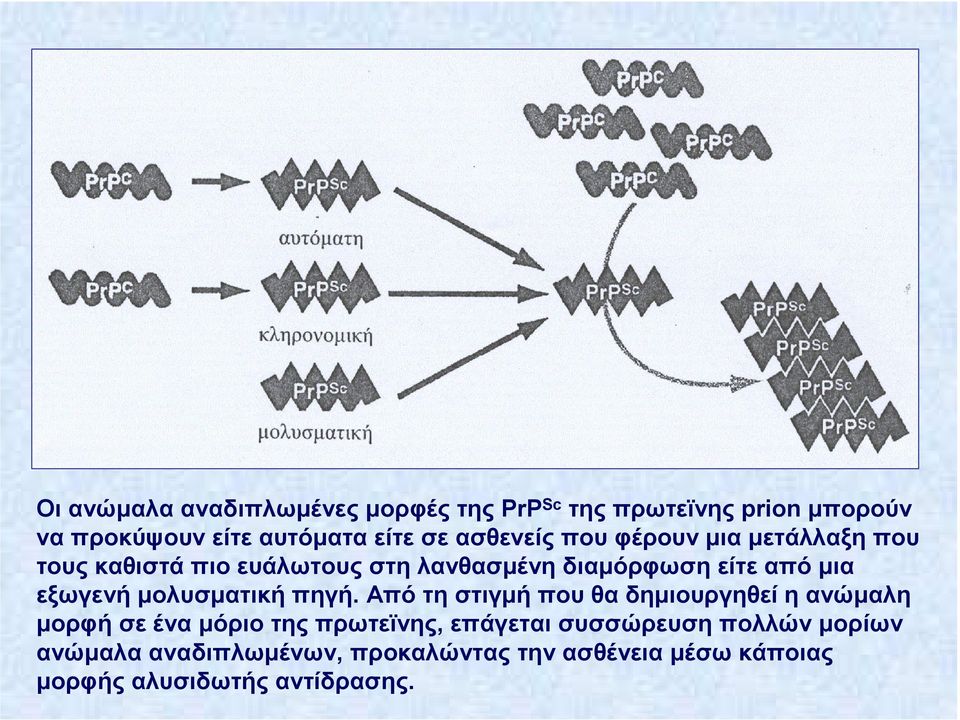 εξωγενή µολυσµατική πηγή.