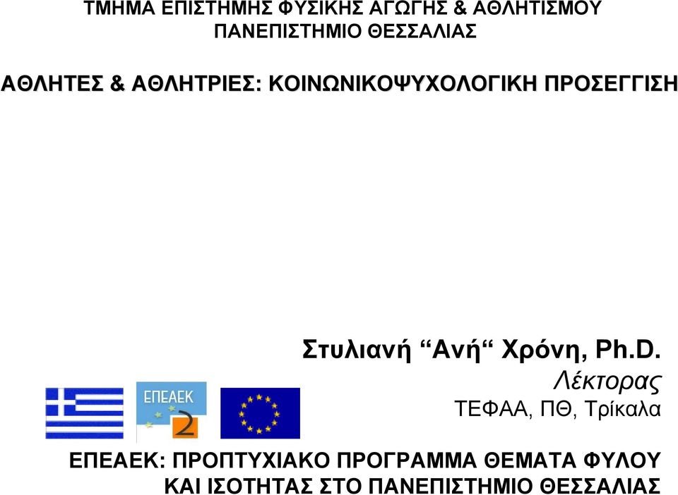 Στυλιανή Ανή Χρόνη, Ph.D.