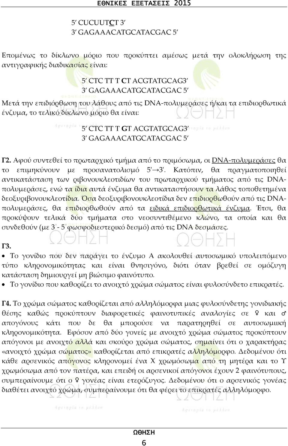 Αφού συντεθεί το πρωταρχικό τμήμα από το πριμόσωμα, οι DNA-πολυμεράσες θα το επιμηκύνουν με προσανατολισμό 5' 3'.