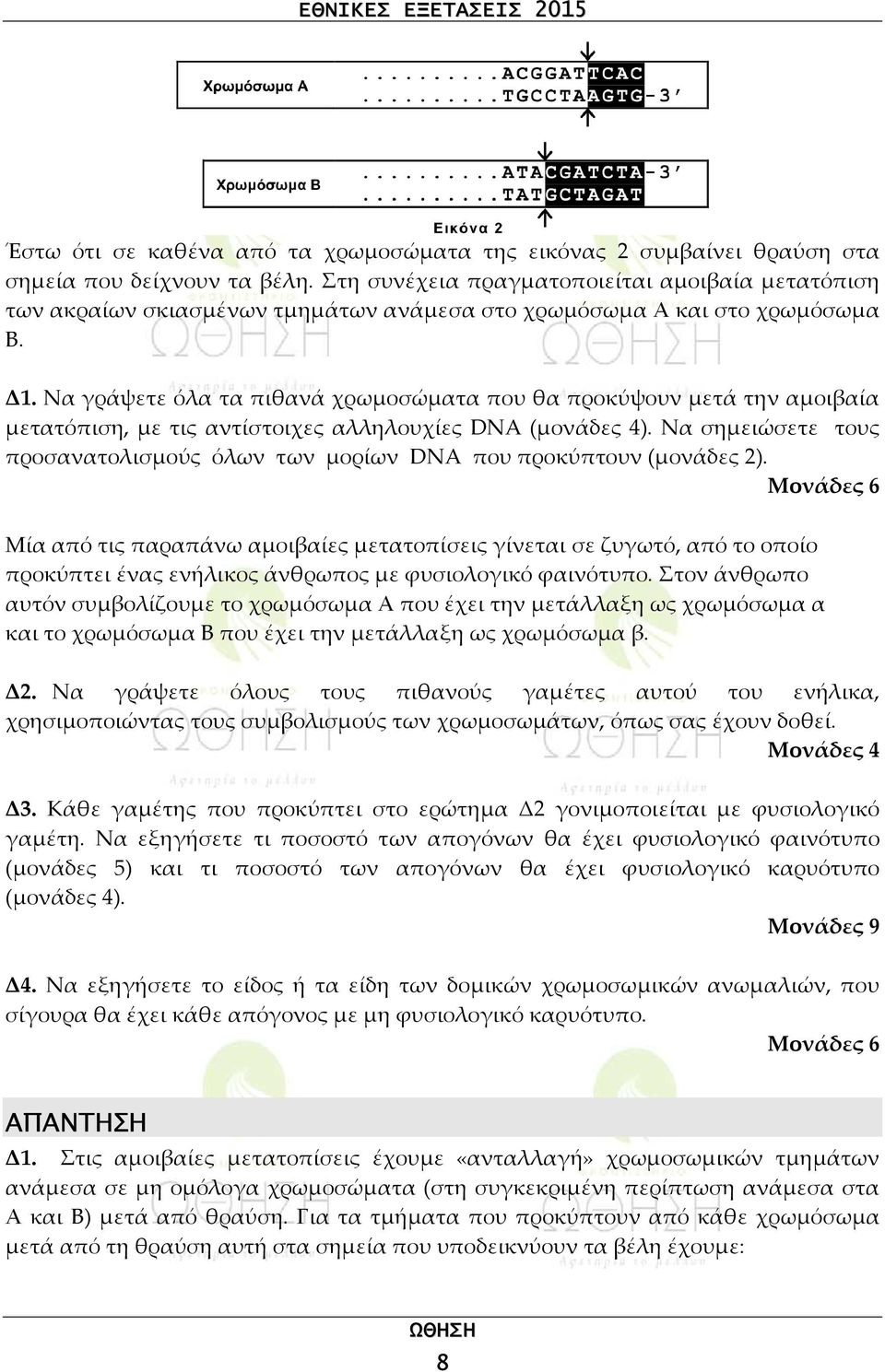 Να γράψετε όλα τα πιθανά χρωμοσώματα που θα προκύψουν μετά την αμοιβαία μετατόπιση, με τις αντίστοιχες αλληλουχίες DNA (μονάδες 4).