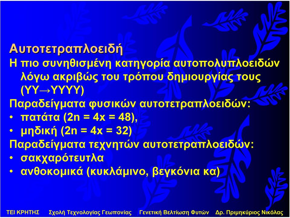αυτοτετραπλοειδών: πατάτα (2n = 4x = 48), µηδική (2n = 4x = 32)