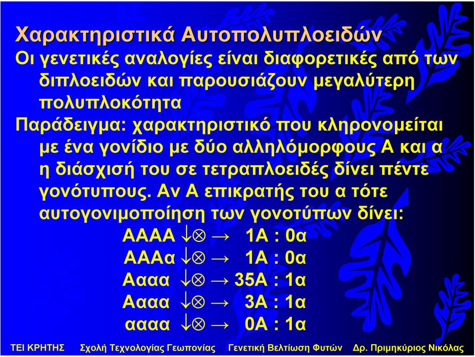 δύοαλληλόµορφους Α και α η διάσχισή του σε τετραπλοειδές δίνει πέντε γονότυπους.