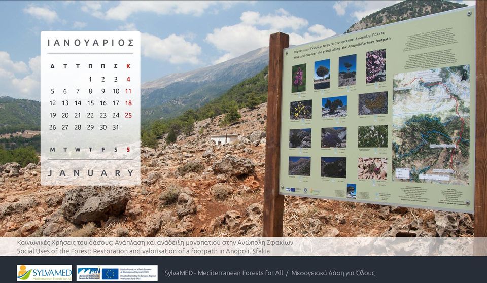 στην Ανώπολη Σφακίων Social Uses of the Forest: Restoration and valorisation of a