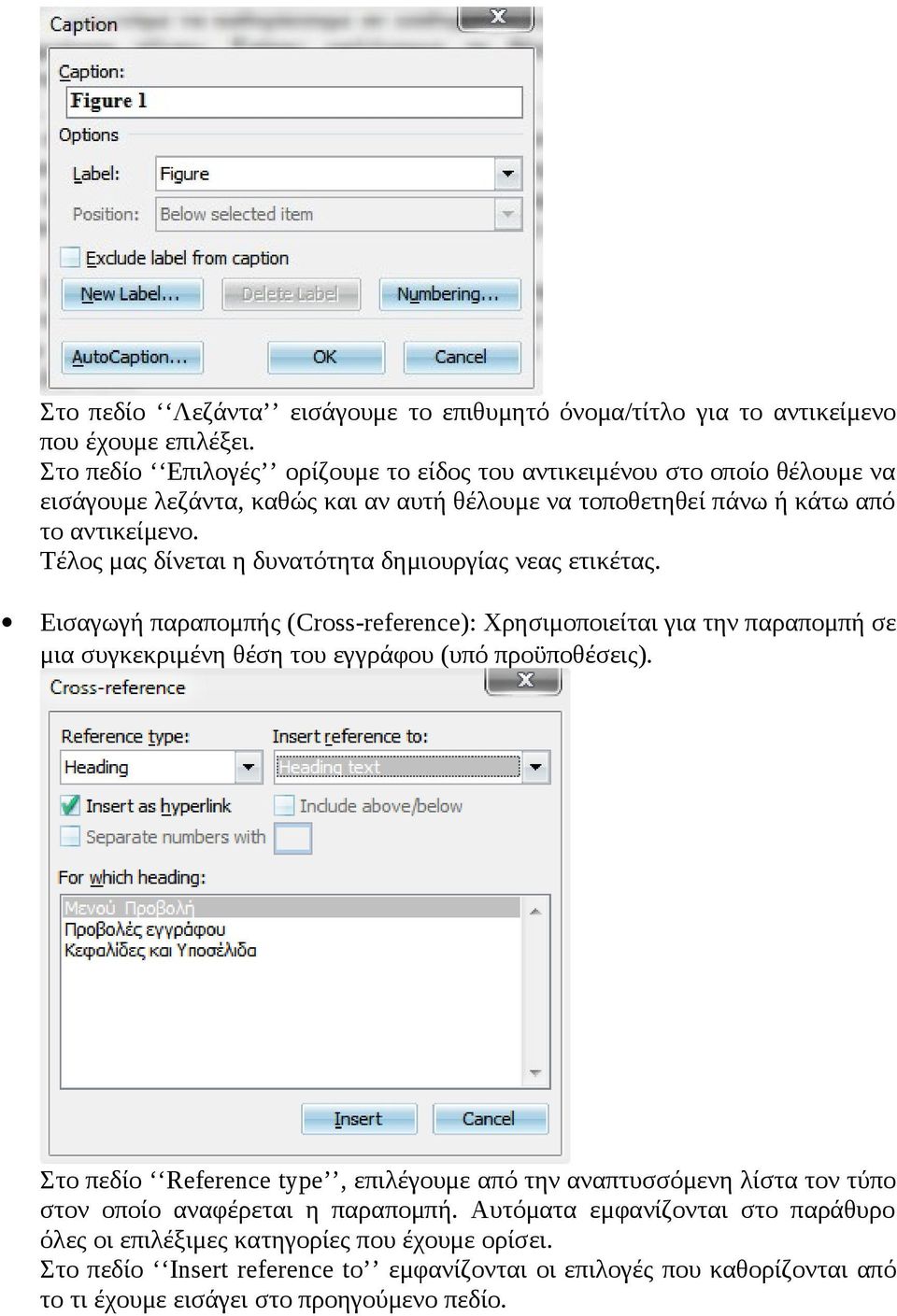 Τέλος μας δίνεται η δυνατότητα δημιουργίας νεας ετικέτας. Εισαγωγή παραπομπής (Cross-reference): Χρησιμοποιείται για την παραπομπή σε μια συγκεκριμένη θέση του εγγράφου (υπό προϋποθέσεις).