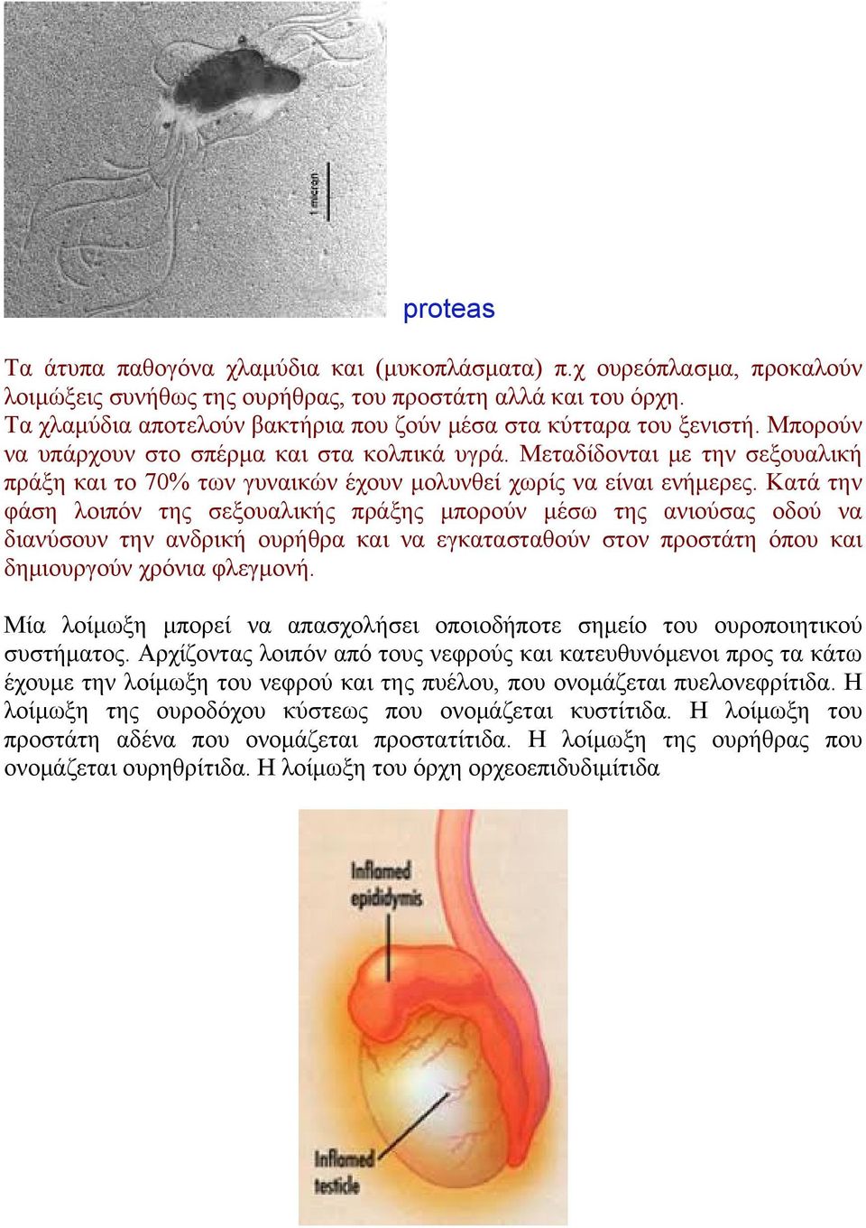 Μεταδίδονται με την σεξουαλική πράξη και το 70% των γυναικών έχουν μολυνθεί χωρίς να είναι ενήμερες.