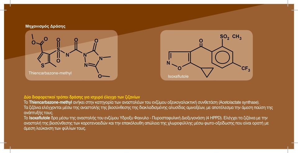 Τα ζιζάνια ελέγχονται μέσω της αναστολής της βιοσύνθεσης της διακλαδισμένης αλυσίδας αμινοξέων, με αποτέλεσμα την άμεση παύση της ανάπτυξής τους.