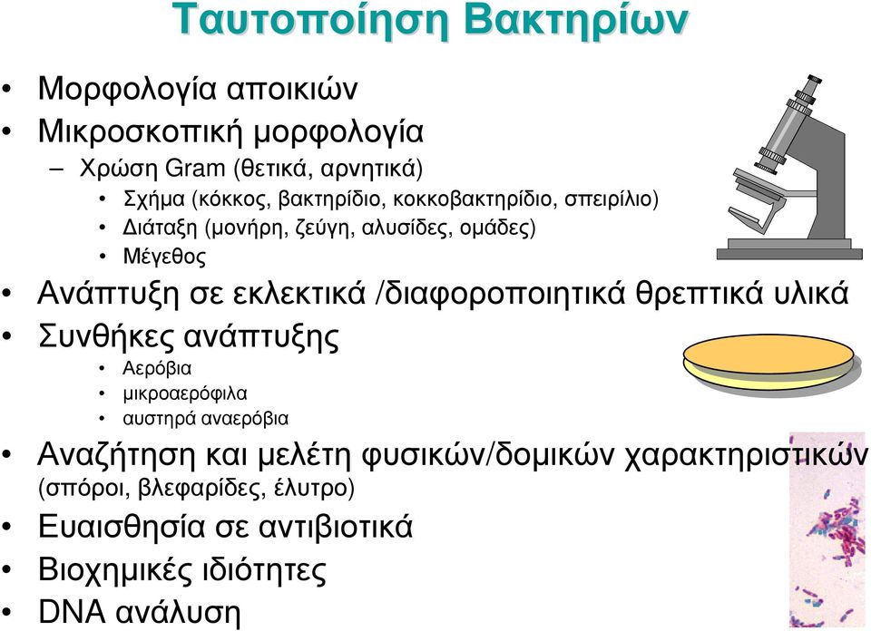 /διαφοροποιητικά θρεπτικά υλικά Συνθήκες ανάπτυξης Αερόβια μικροαερόφιλα αυστηρά αναερόβια Αναζήτηση και μελέτη