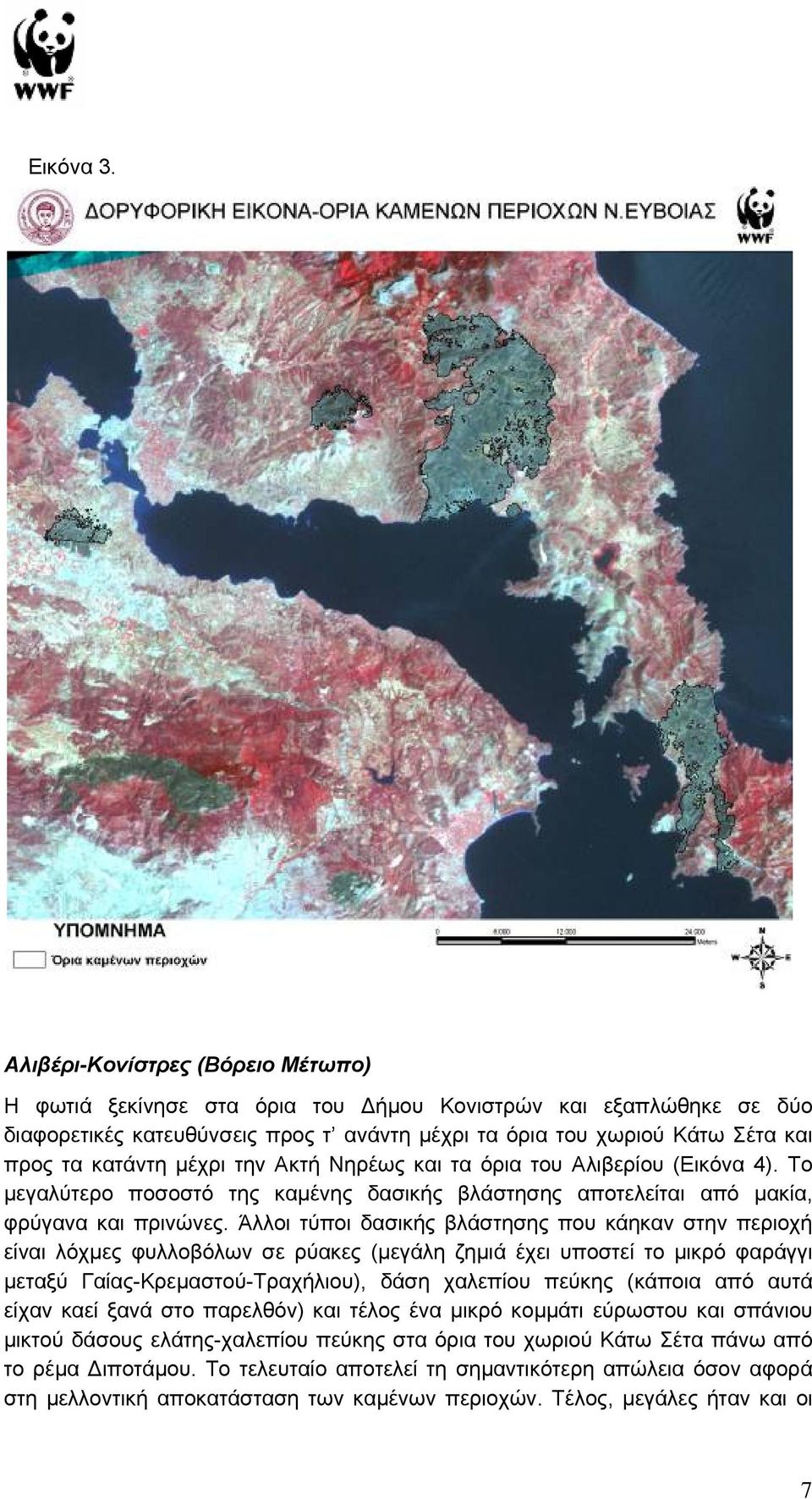 µέχρι την Ακτή Νηρέως και τα όρια του Αλιβερίου (Εικόνα 4). Το µεγαλύτερο ποσοστό της καµένης δασικής βλάστησης αποτελείται από µακία, φρύγανα και πρινώνες.