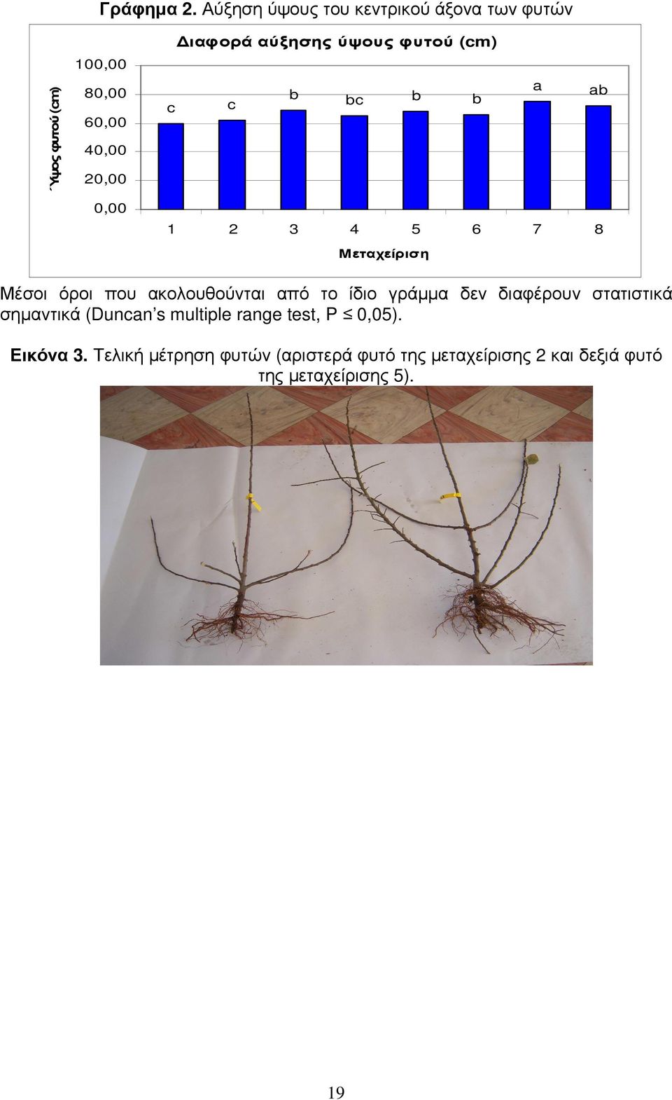 80,00 60,00 40,00 20,00 c c b bc b b a ab 0,00 1 2 3 4 5 6 7 8 Μεταχείριση Μέσοι όροι που