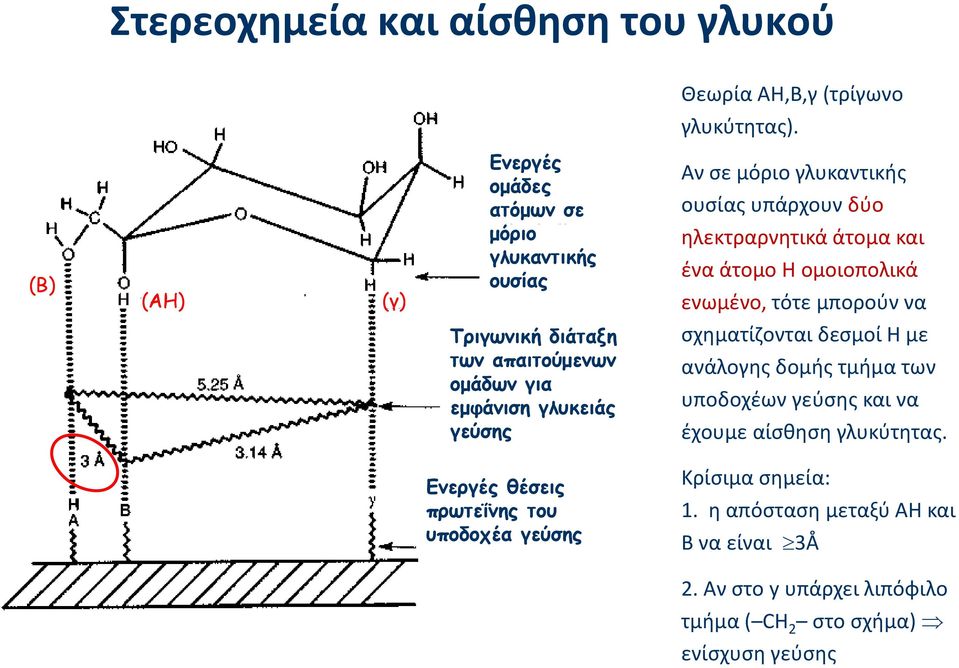 γλυκαντικής ουσίας υπάρχουν δύο ηλεκτραρνητικά άτομα και ένα άτομο Η ομοιοπολικά ενωμένο, τότε μπορούν να σχηματίζονται δεσμοί Η με ανάλογης δομής