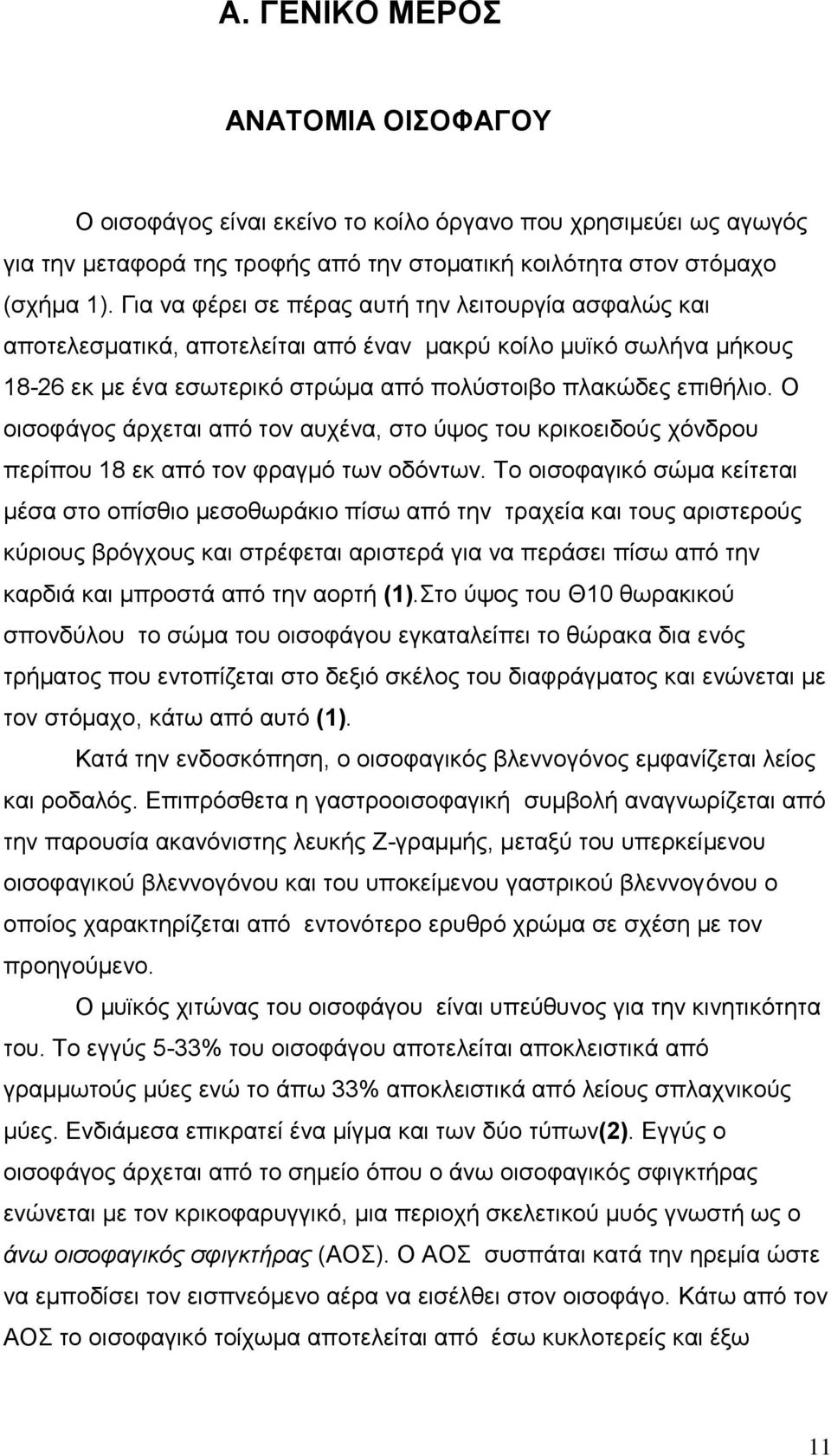 Ο οισοφάγος άρχεται από τον αυχένα, στο ύψος του κρικοειδούς χόνδρου περίπου 18 εκ από τον φραγμό των οδόντων.