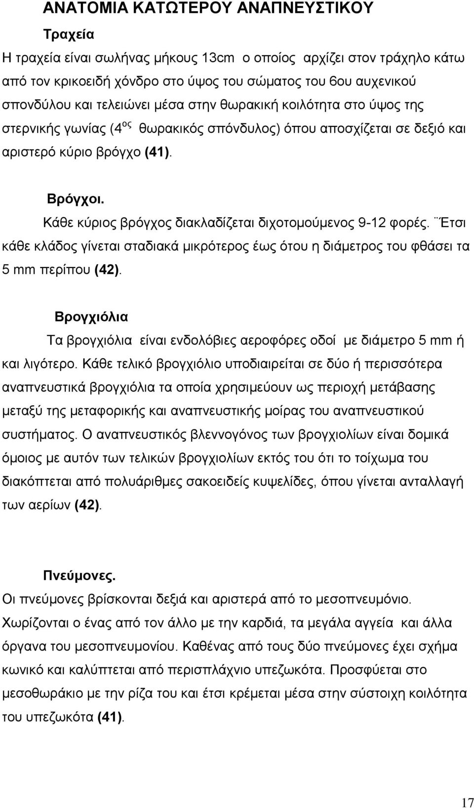 Κάθε κύριος βρόγχος διακλαδίζεται διχοτομούμενος 9-12 φορές. Έτσι κάθε κλάδος γίνεται σταδιακά μικρότερος έως ότου η διάμετρος του φθάσει τα 5 mm περίπου (42).