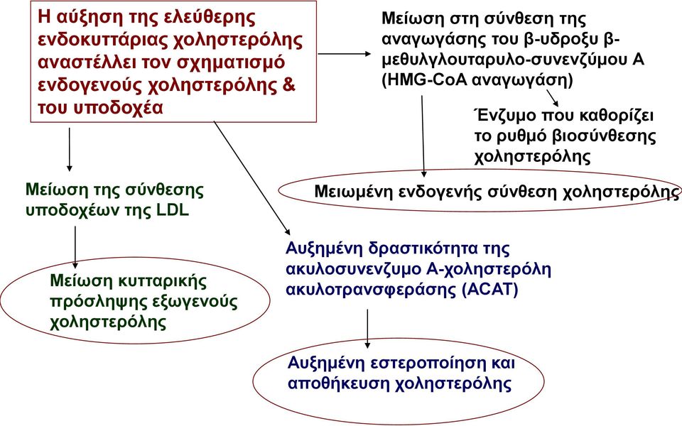 Ένζυμο που καθορίζει το ρυθμό βιοσύνθεσης χοληστερόλης Μειωμένη ενδογενής σύνθεση χοληστερόλης Μείωση κυτταρικής πρόσληψης