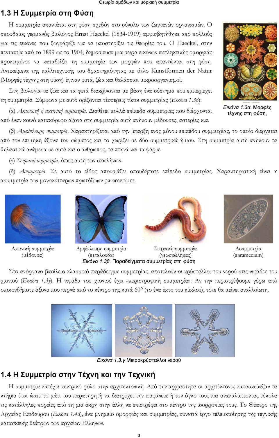 O Haeckel, στην πενταετία από το 1899 ως το 1904, δημοσίευσε μια σειρά εικόνων εκπληκτικής ομορφιάς προκειμένου να καταδείξει τη συμμετρία των μορφών που απαντώνται στη φύση.