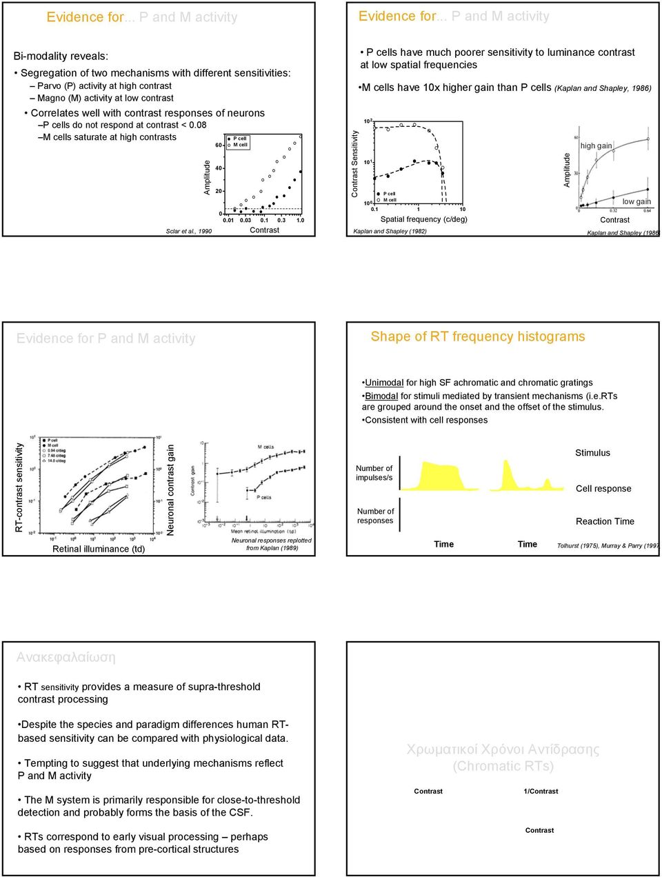 contrast responses of neurons P cells do not respond at contrast <.8 M cells saturate at high contrasts Amplitude Sclar et al., 199 6 4 2 P cell M cell.1.3.1.3 1.