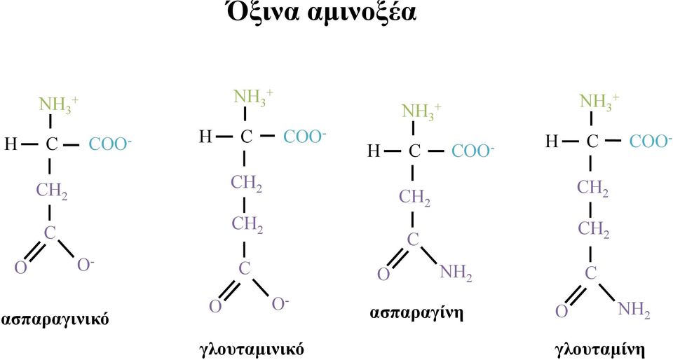 O O - ασπαραγινικό γλουταµινικό O