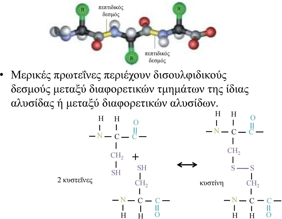 τµηµάτων της ίδιας αλυσίδας ή µεταξύ διαφορετικών