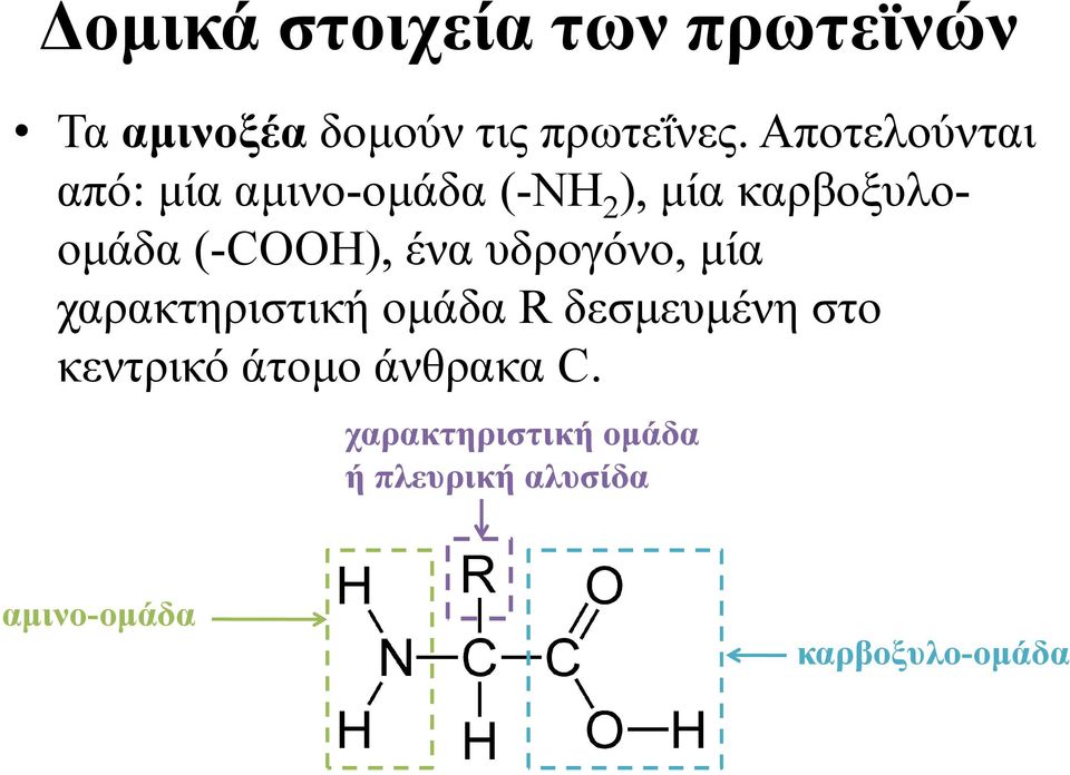 ένα υδρογόνο, µία χαρακτηριστική οµάδα R δεσµευµένη στο κεντρικό