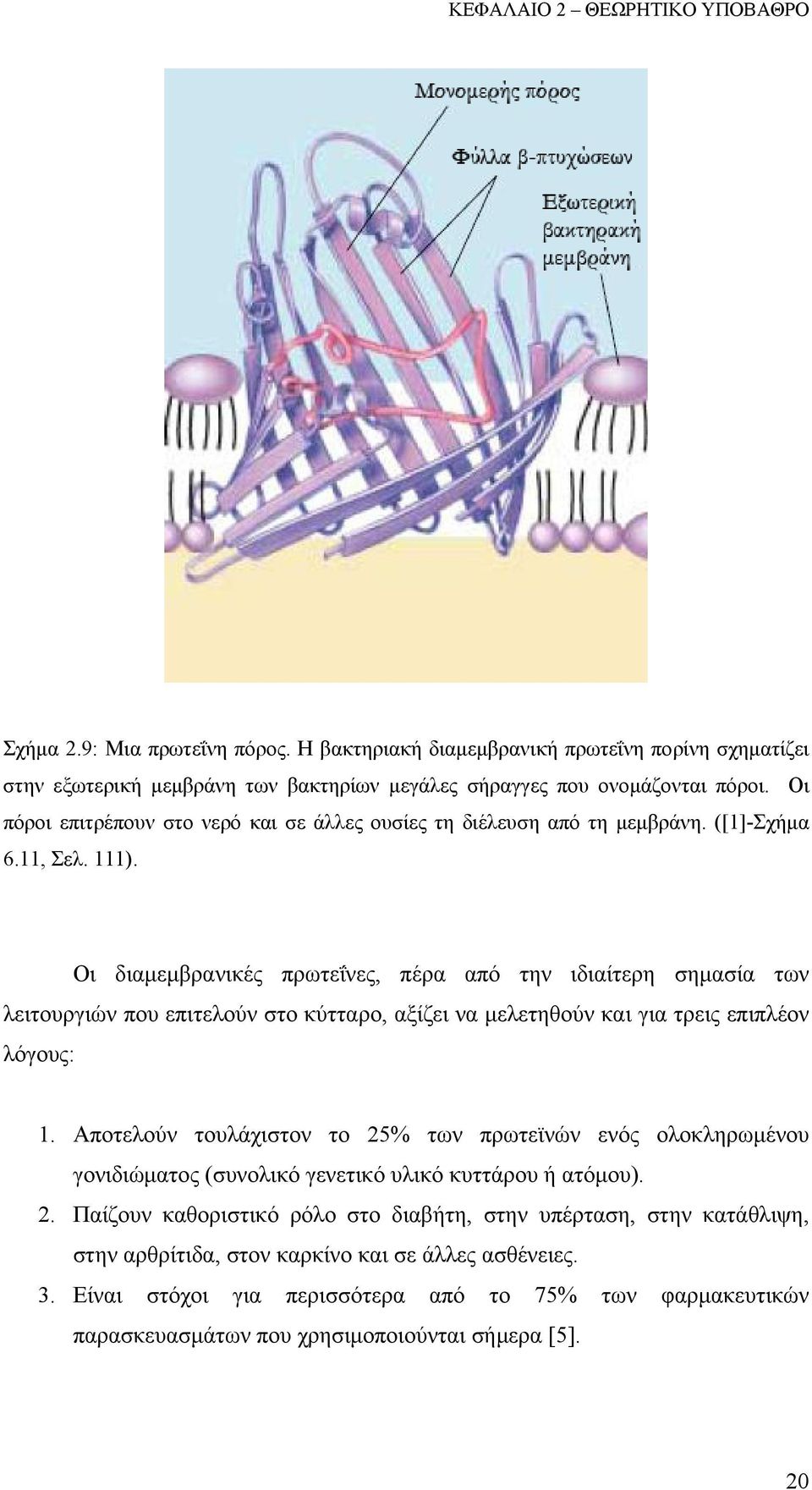 Οι διαμεμβρανικές πρωτεΐνες, πέρα από την ιδιαίτερη σημασία των λειτουργιών που επιτελούν στο κύτταρο, αξίζει να μελετηθούν και για τρεις επιπλέον λόγους: 1.