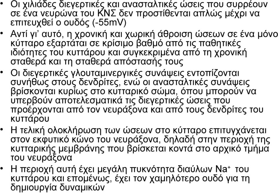 εντοπίζονται συνήθως στους δενδρίτες, ενώ οι ανασταλτικές συνάψεις βρίσκονται κυρίως στο κυτταρικό σώμα, όπου μπορούν να υπερβούν αποτελεσματικά τις διεγερτικές ώσεις που προέρχονται από τον