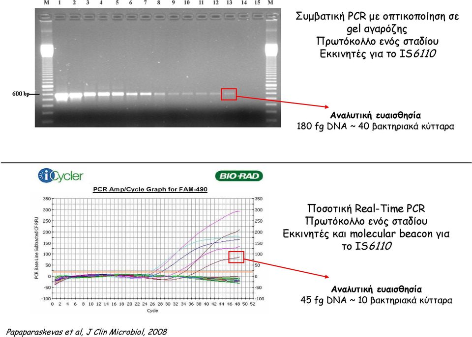 PCR Πρωτόκολλο ενός σταδίου Εκκινητές και molecular beacon για το IS6110 Aναλυτική