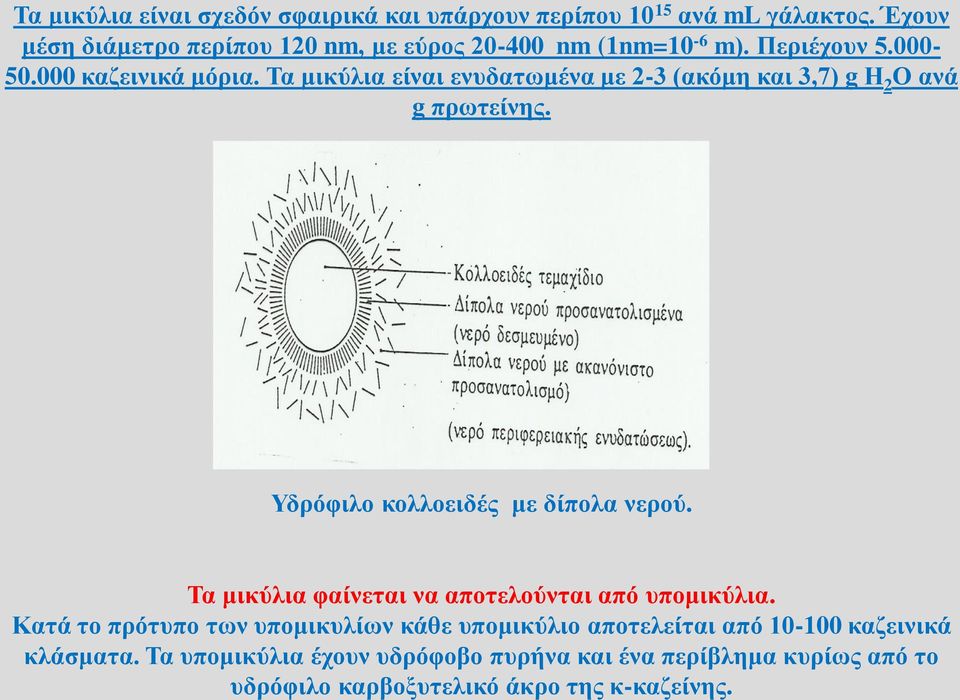 Τα μικύλια είναι ενυδατωμένα με 2-3 (ακόμη και 3,7) g Η 2 Ο ανά g πρωτείνης. Υδρόφιλο κολλοειδές με δίπολα νερού.