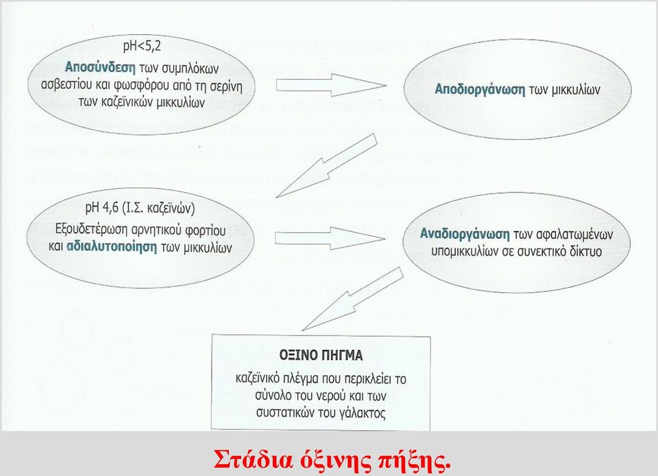 πήξης.