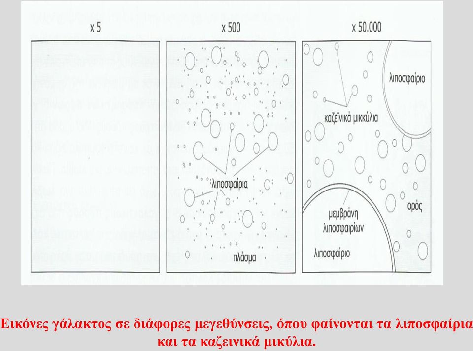 όπου φαίνονται τα