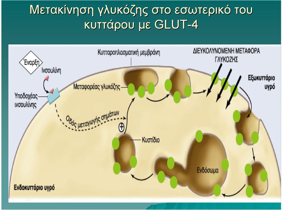 εσωτερικό του