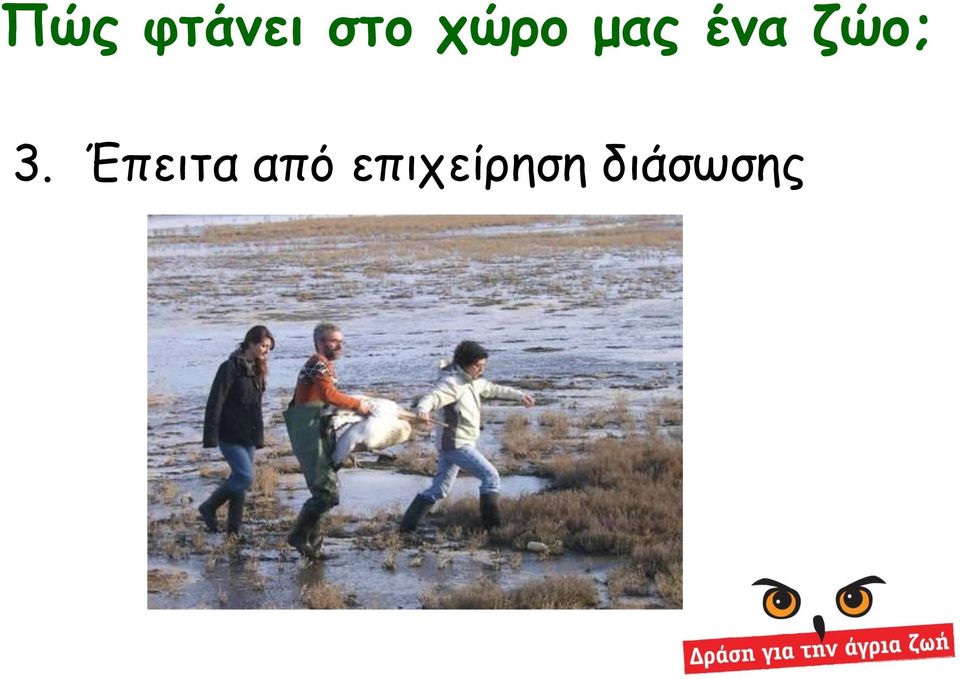 ζώο; 3.