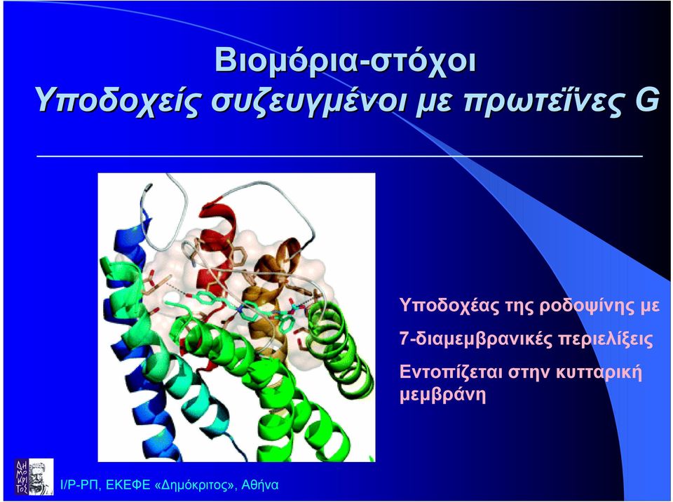 Υποδοχέας της ροδοψίνης µε