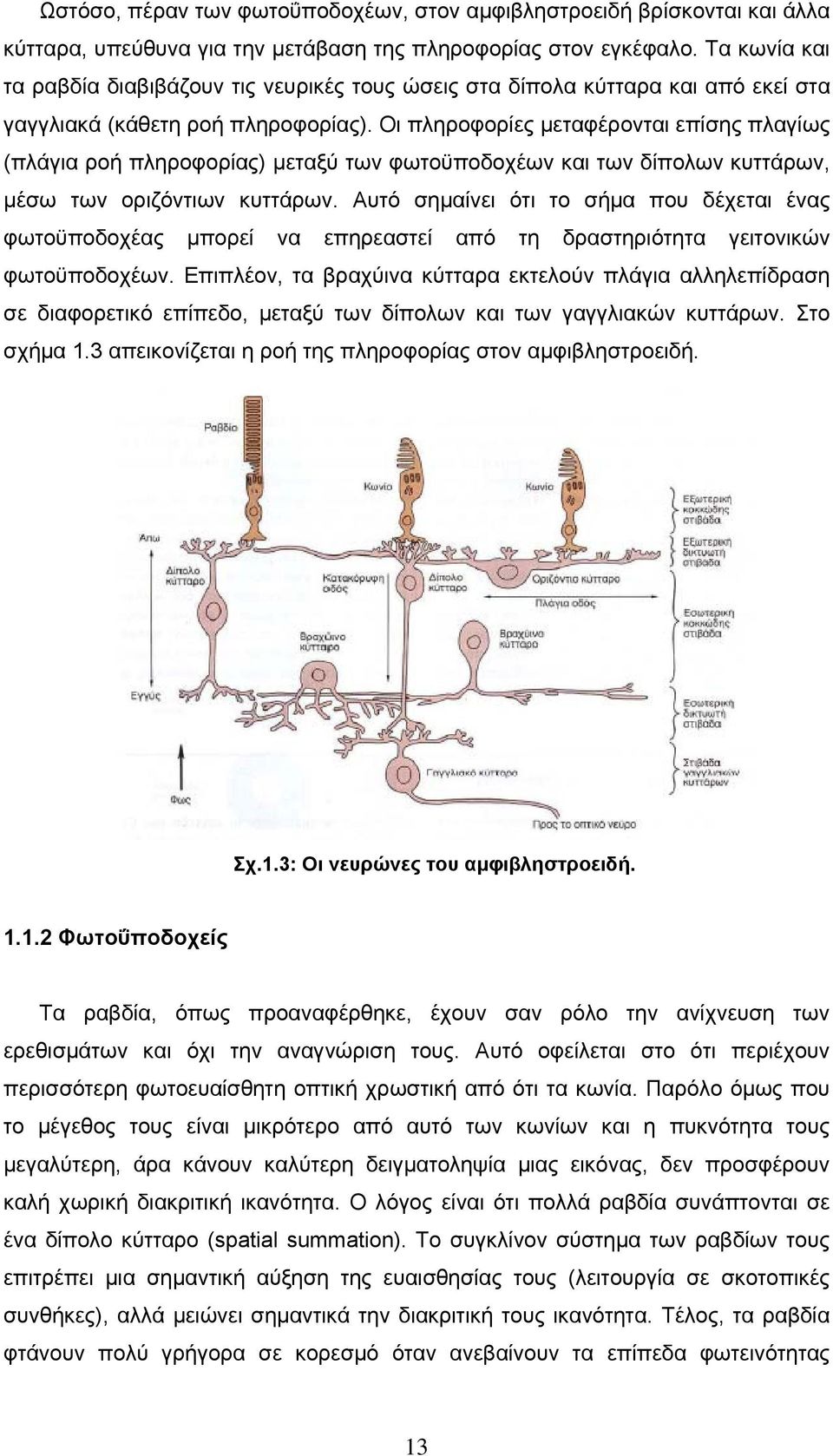 Οι πληροφορίες μεταφέρονται επίσης πλαγίως (πλάγια ροή πληροφορίας) μεταξύ των φωτοϋποδοχέων και των δίπολων κυττάρων, µέσω των οριζόντιων κυττάρων.