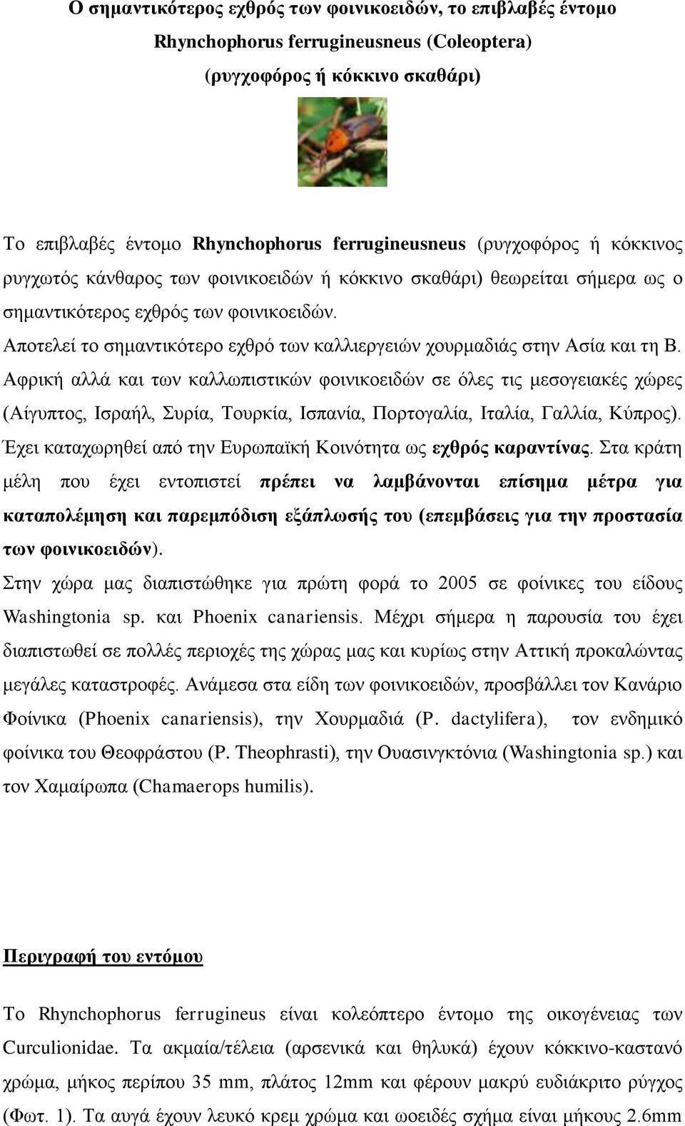 Απνηειεί ην ζεκαληηθφηεξν ερζξφ ησλ θαιιηεξγεηψλ ρνπξκαδηάο ζηελ Αζία θαη ηε Β.