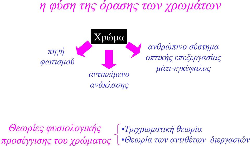 επεξεργασίας µάτι-εγκέφαλος Θεωρίες φυσιολογικής