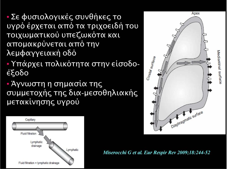 Υπάρχει πολικότητα στην είσοδοέξοδο Άγνωστη η σηµασία της συµµετοχής