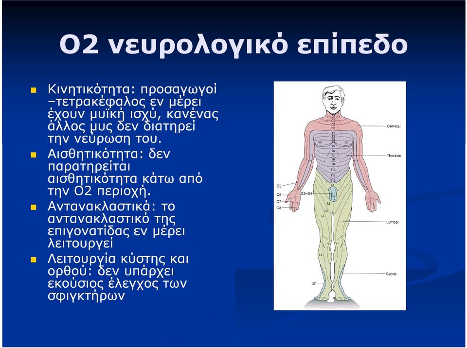 Αισθητικότητα: δεν παρατηρείται αισθητικότητα κάτω από την Ο2 περιοχή.