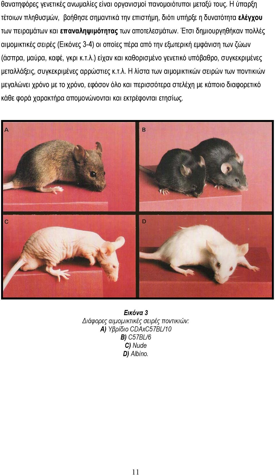Έτσι δημιουργηθήκαν πολλές αιμομικτικές σειρές (Εικόνες 3-4) οι οποίες πέρα από την εξωτερική εμφάνιση των ζώων (άσπρα, μαύρα, καφέ, γκρι κ.τ.λ.) είχαν και καθορισμένο γενετικό υπόβαθρο, συγκεκριμένες μεταλλάξεις, συγκεκριμένες αρρώστιες κ.