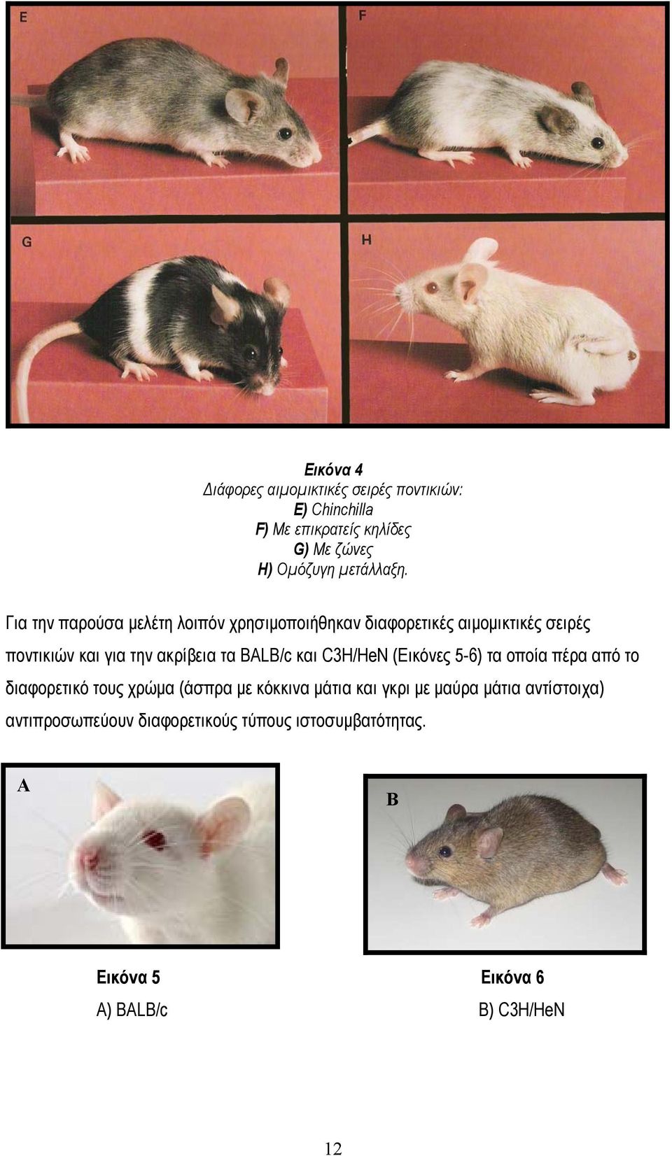 Για την παρούσα μελέτη λοιπόν χρησιμοποιήθηκαν διαφορετικές αιμομικτικές σειρές ποντικιών και για την ακρίβεια τα