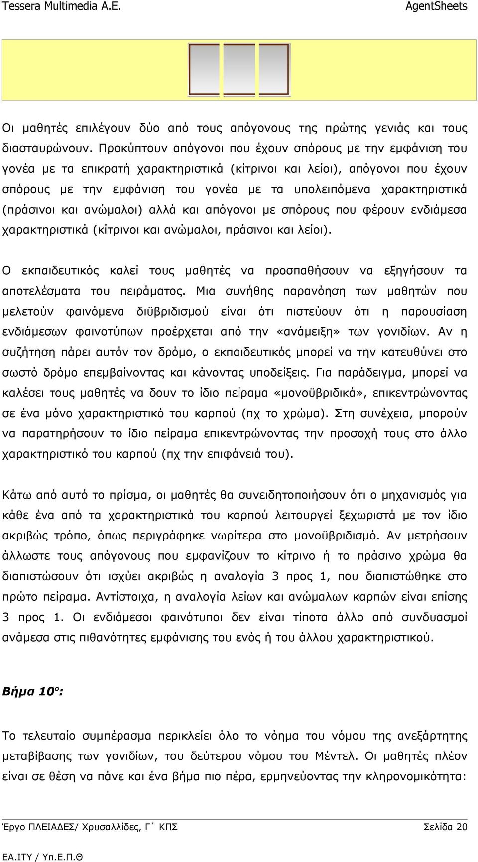 χαρακτηριστικά (πράσινοι και ανώμαλοι) αλλά και απόγονοι με σπόρους που φέρουν ενδιάμεσα χαρακτηριστικά (κίτρινοι και ανώμαλοι, πράσινοι και λείοι).