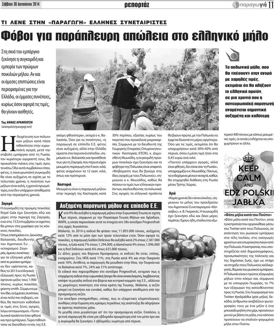 Τα πολωνικά μήλα, που θα «πέσουν» στην αγορά με χαμηλές τιμές, εκτιμάται ότι θα πλήξουν το ελληνικό προϊόν, σε μια χρονιά που η πανευρωπαϊκή παραγωγή αναμένεται σημαντικά αυξημένη και καλύτερη Της