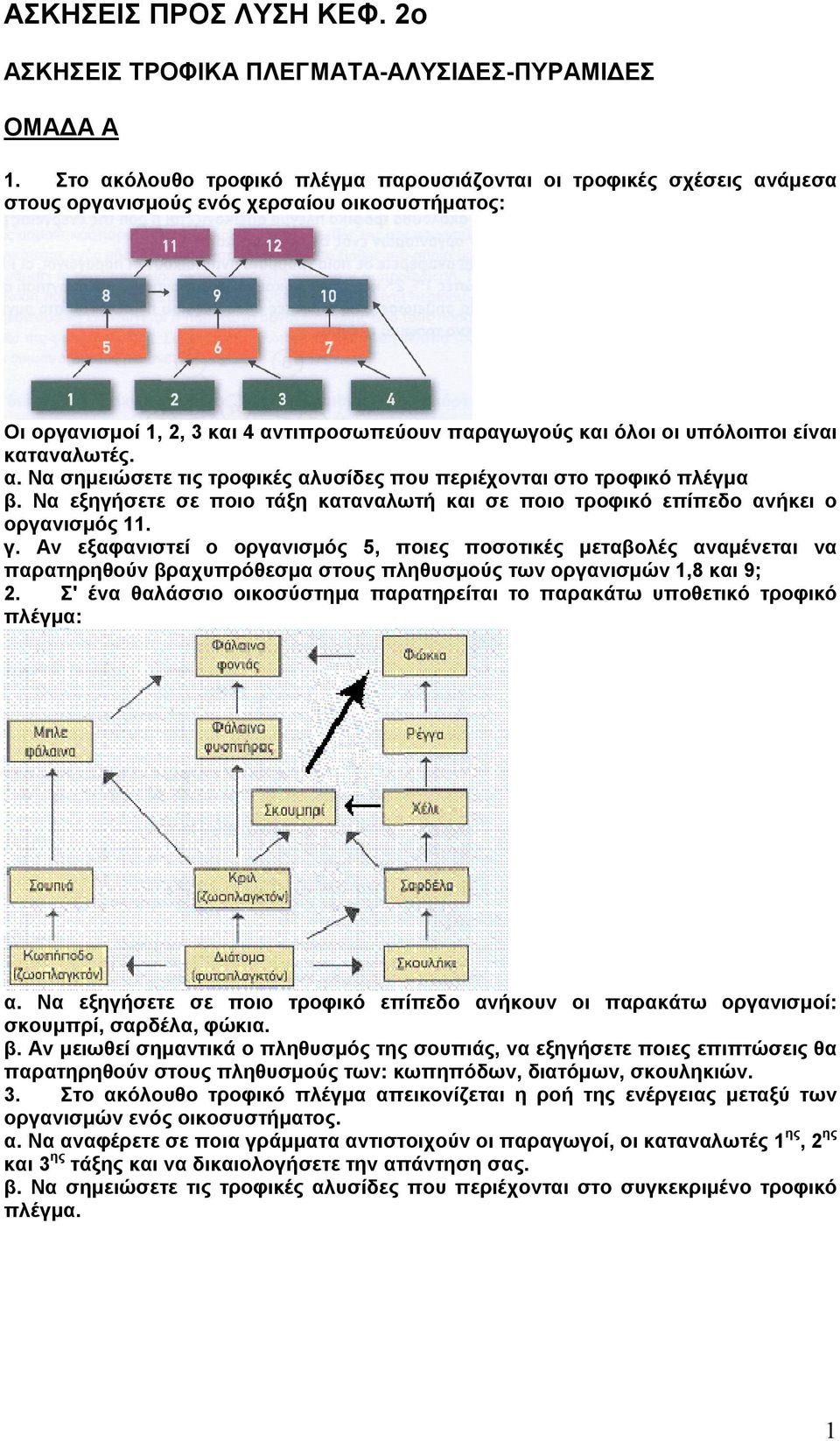 είναι καταναλωτές. α. Να σημειώσετε τις τροφικές αλυσίδες που περιέχονται στο τροφικό πλέγμα β. Να εξηγήσετε σε ποιο τάξη καταναλωτή και σε ποιο τροφικό επίπεδο ανήκει ο οργανισμός 11. γ.