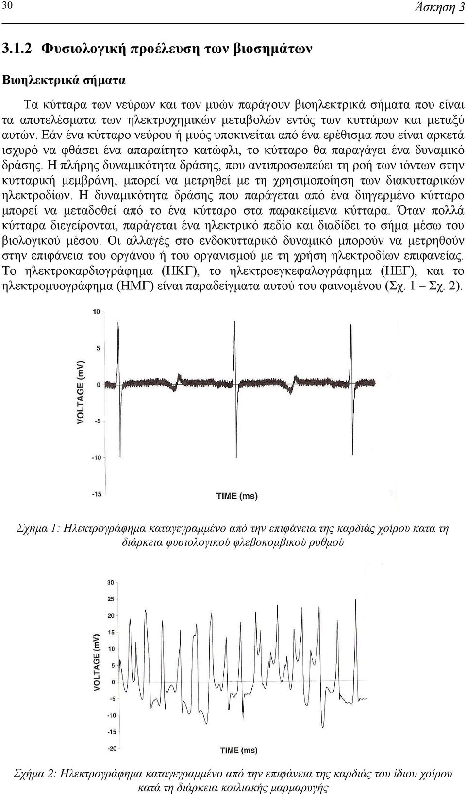 και µεταξύ αυτών. Εάν ένα κύτταρο νεύρου ή µυός υποκινείται από ένα ερέθισµα που είναι αρκετά ισχυρό να φθάσει ένα απαραίτητο κατώφλι, το κύτταρο θα παραγάγει ένα δυναµικό δράσης.