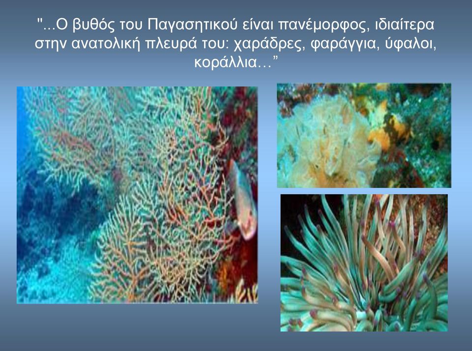 στην ανατολική πλευρά του: