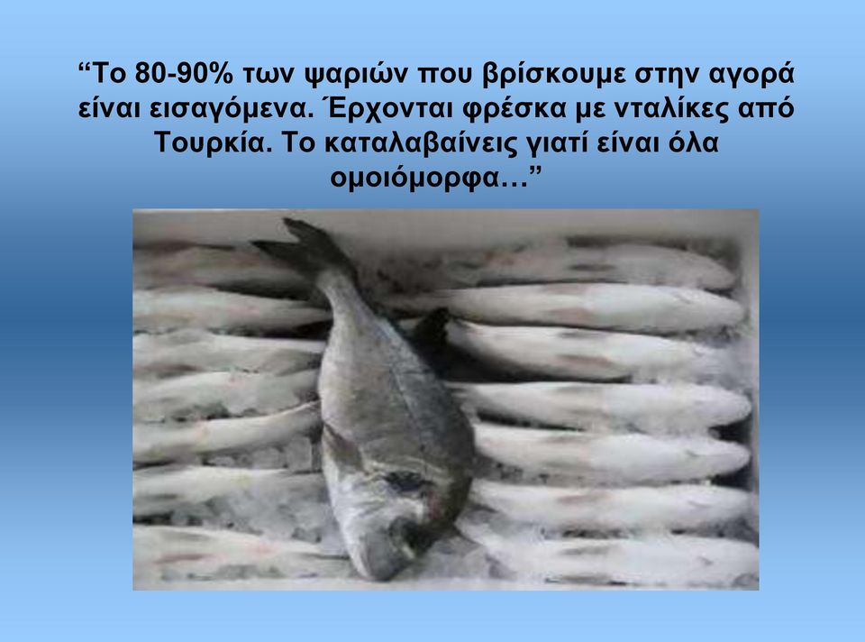 Έρχονται φρέσκα με νταλίκες από