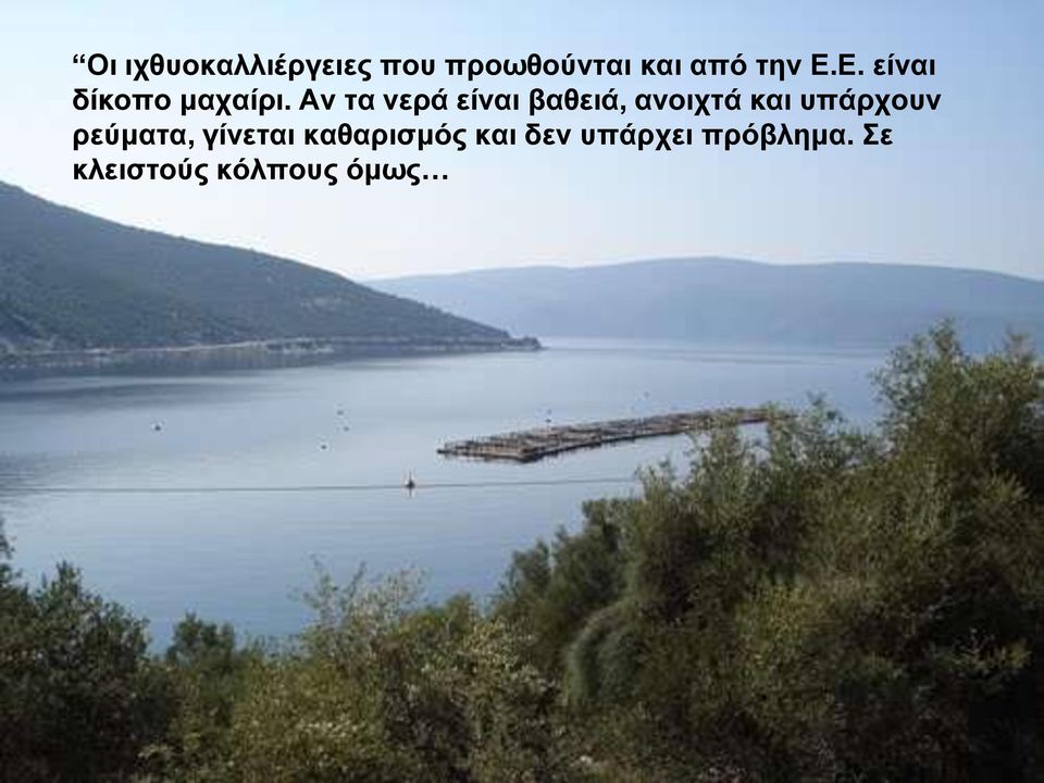 Αν τα νερά είναι βαθειά, ανοιχτά και υπάρχουν