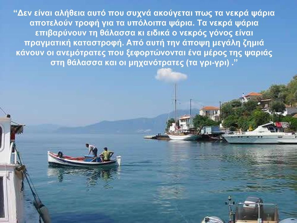 Τα νεκρά ψάρια επιβαρύνουν τη θάλασσα κι ειδικά ο νεκρός γόνος είναι πραγματική