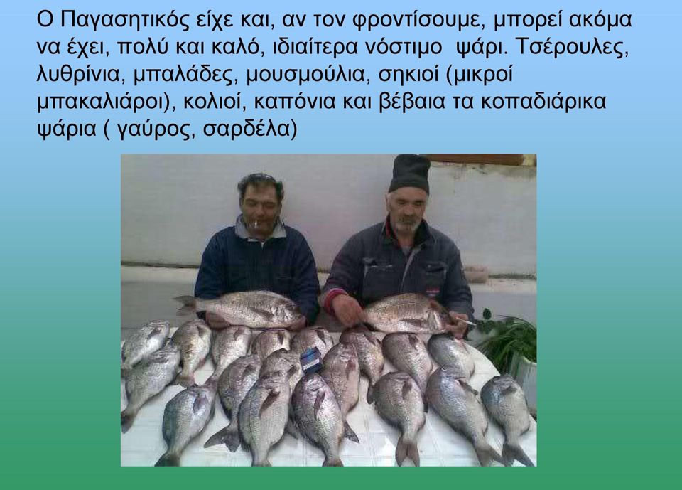 Τσέρουλες, λυθρίνια, μπαλάδες, μουσμούλια, σηκιοί (μικροί