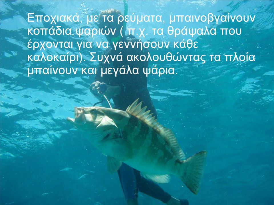 τα θράψαλα που έρχονται για να γεννήσουν