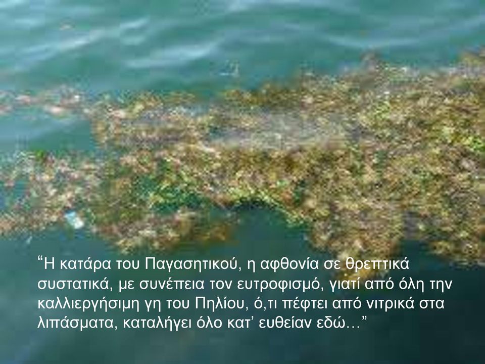 όλη την καλλιεργήσιμη γη του Πηλίου, ό,τι πέφτει